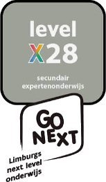 Level X 28